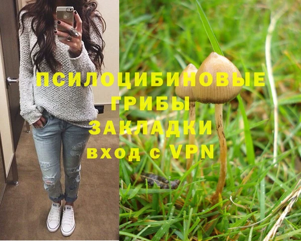 прущая мука Аркадак