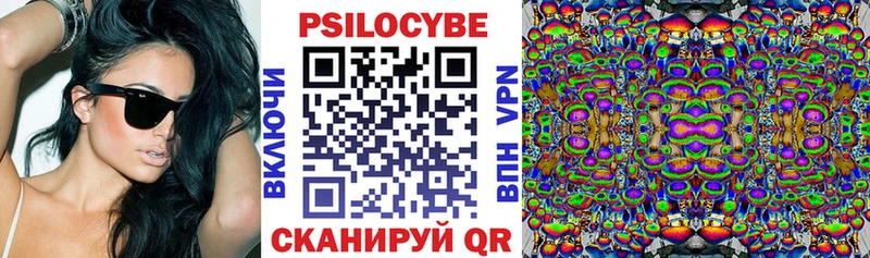 Псилоцибиновые грибы Magic Shrooms  где купить наркоту  omg зеркало  Сорочинск 
